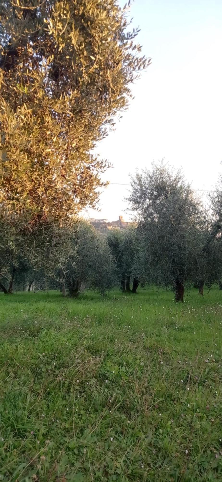 Il Pettirosso Monsummano Terme Exterior foto