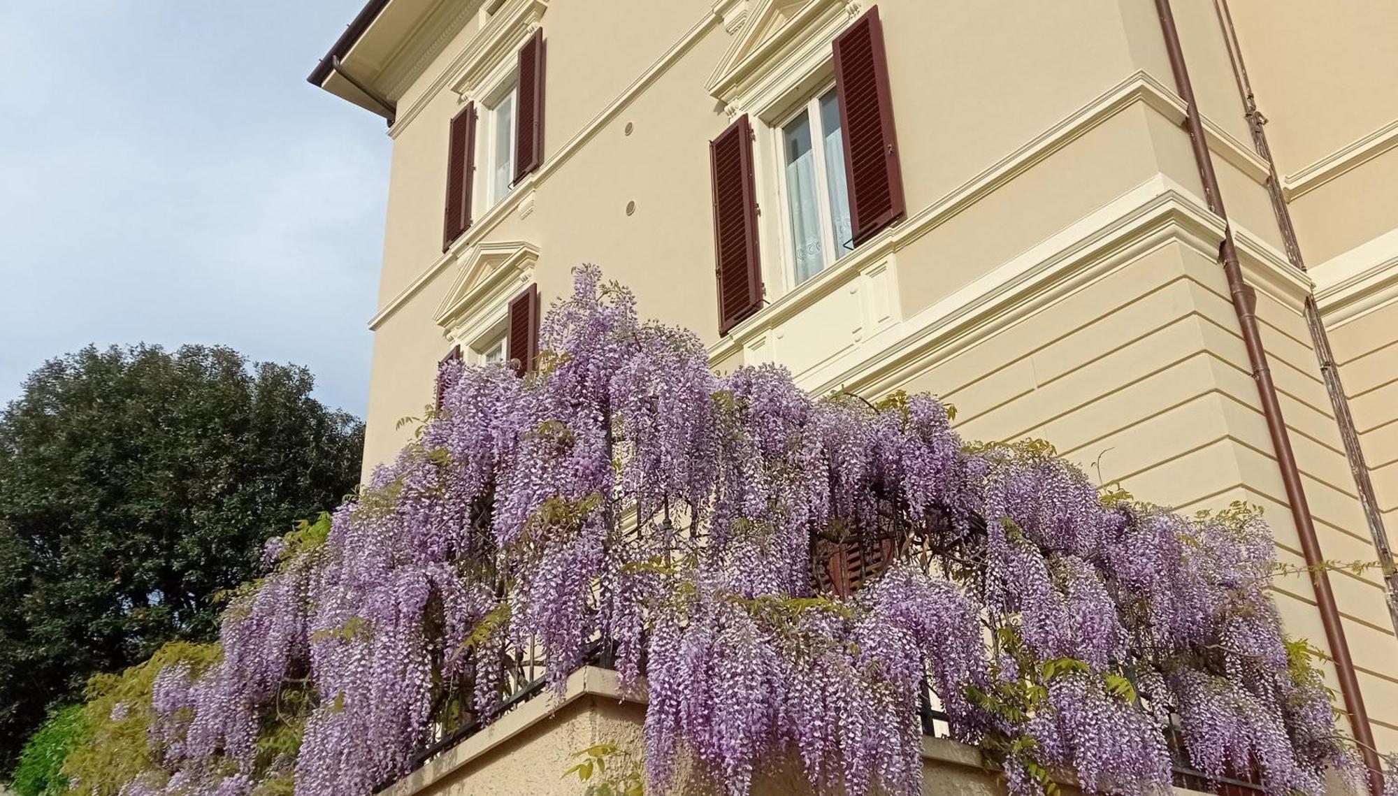 Il Pettirosso Monsummano Terme Exterior foto